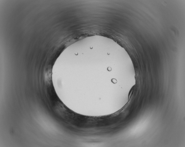 X0000111790190200908201139