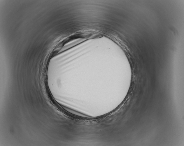 X0000111790193200908201139