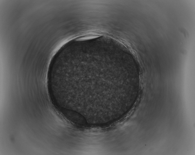 X0000111790196200908201139