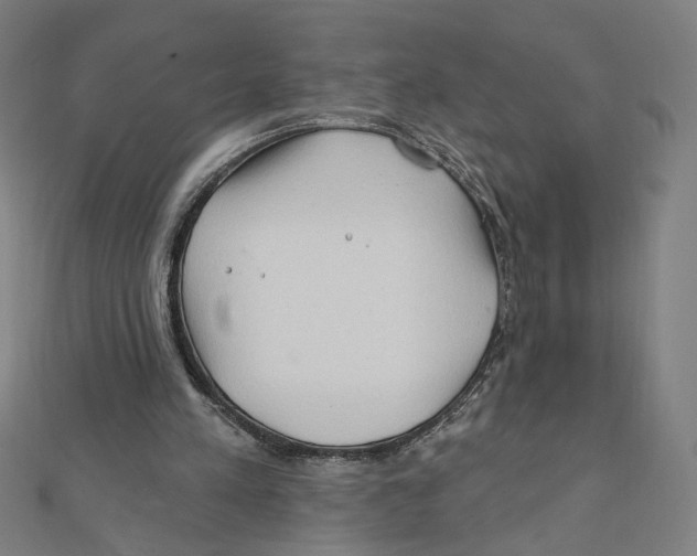 X0000111790197200908201139