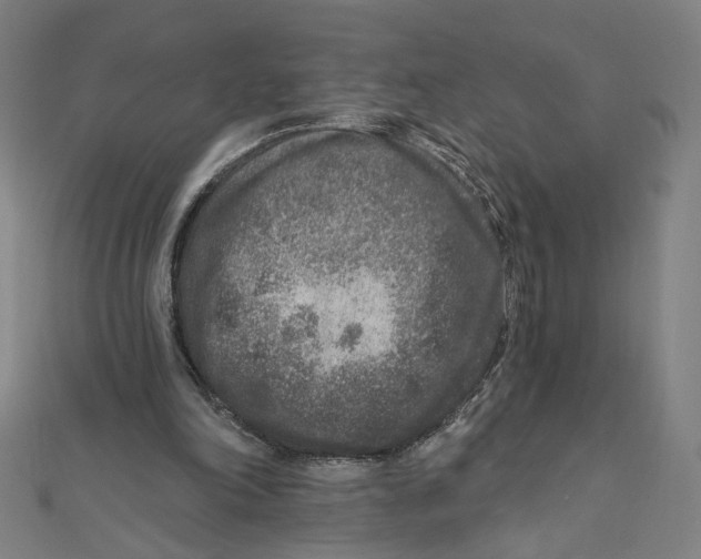 X0000111790198200908201139