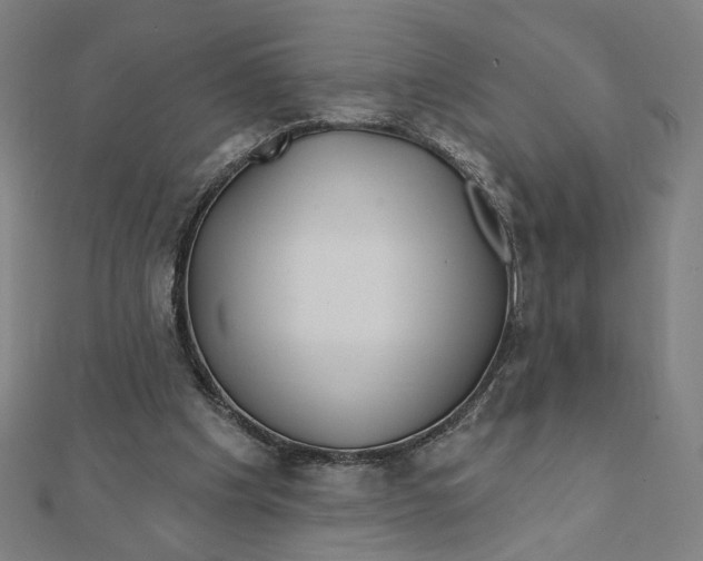 X0000111790201200908201139