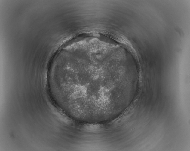 X0000111790202200908201139