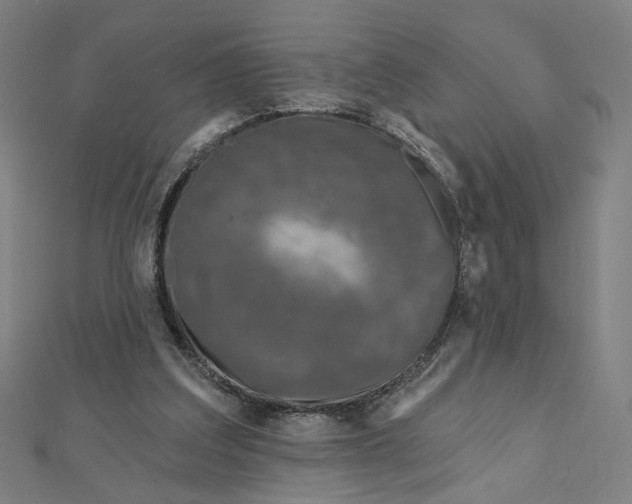 X0000111790203200908201139