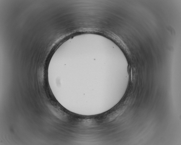 X0000111790204200908201139