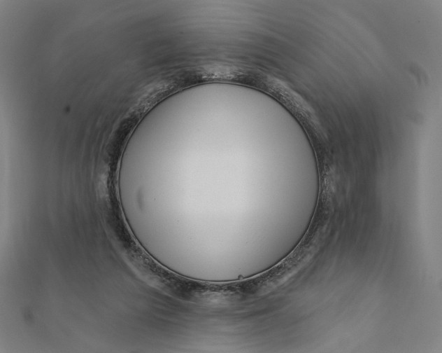 X0000111790209200908201139