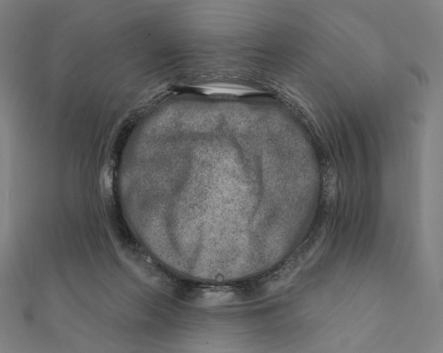 X0000111790214200908201138