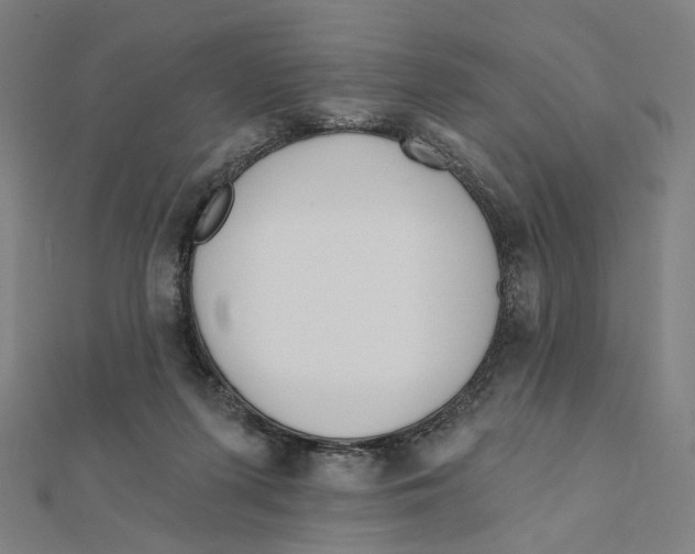 X0000111790215200908201138