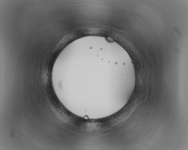 X0000111790216200908201138