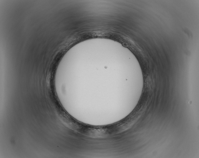 X0000111790217200908201138