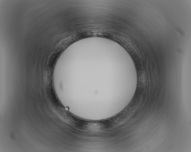 X0000111790218200908201138