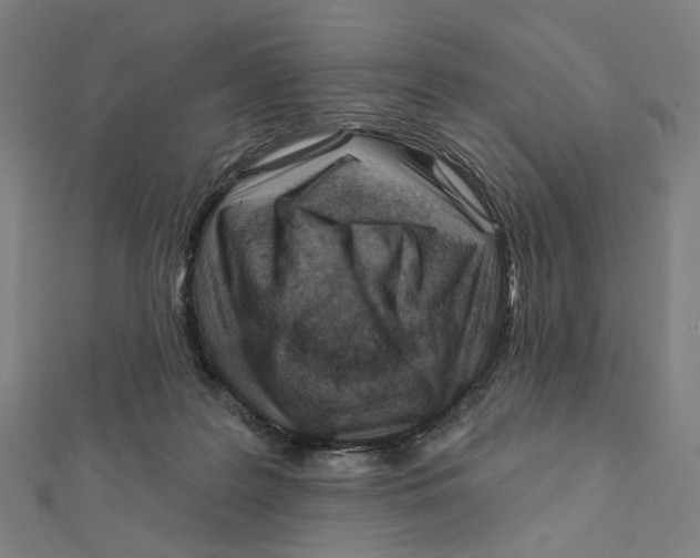 X0000111790219200908201138