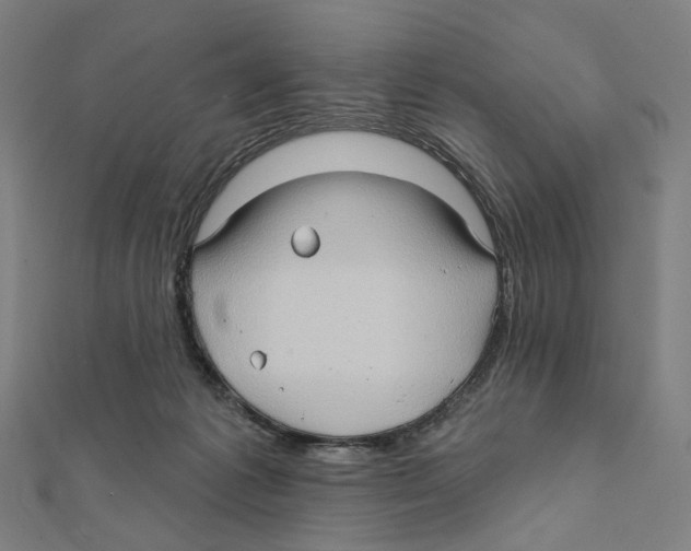 X0000111790221200908201138