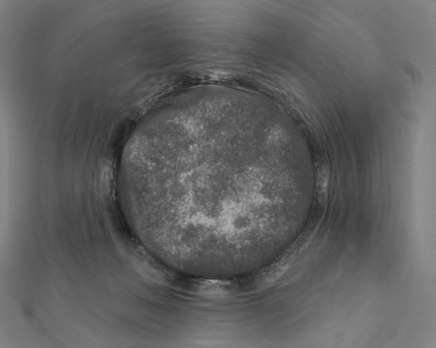 X0000111790222200908201138