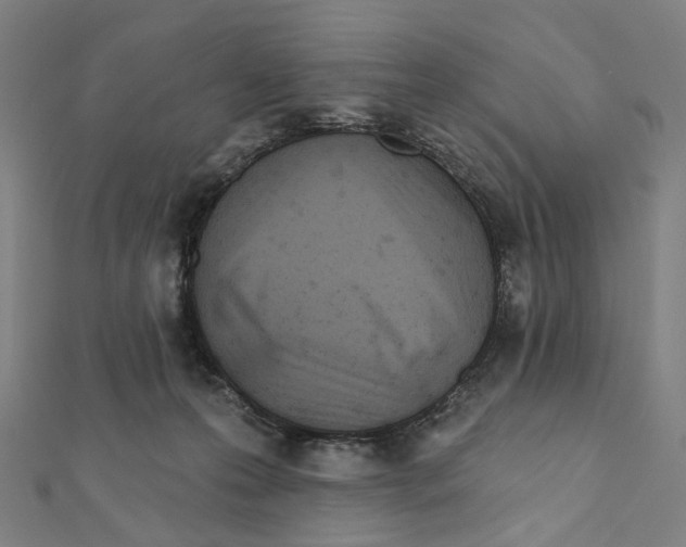 X0000111790223200908201138