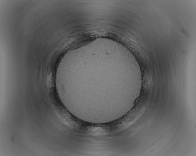 X0000111790224200908201138