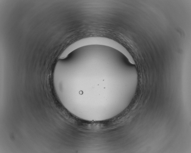 X0000111790225200908201138