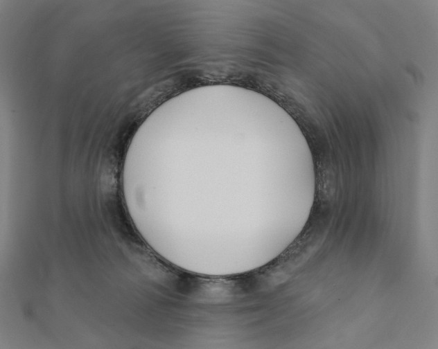 X0000111790226200908201138