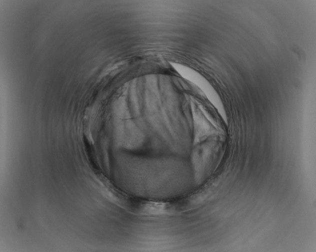 X0000111790227200908201138