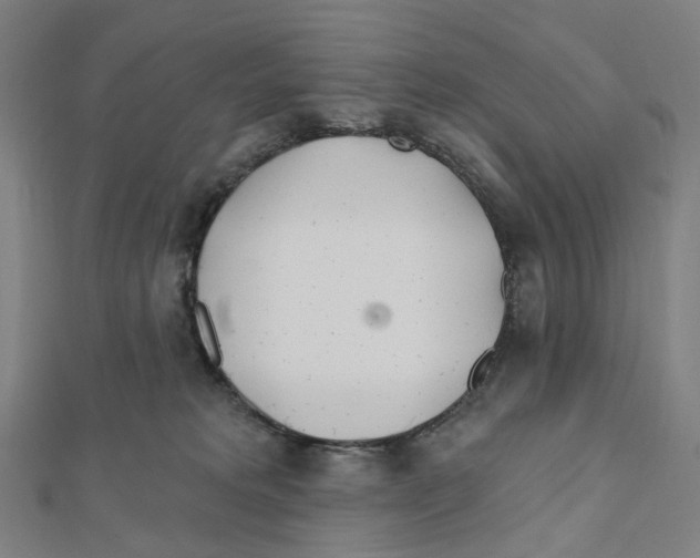 X0000111790229200908201138