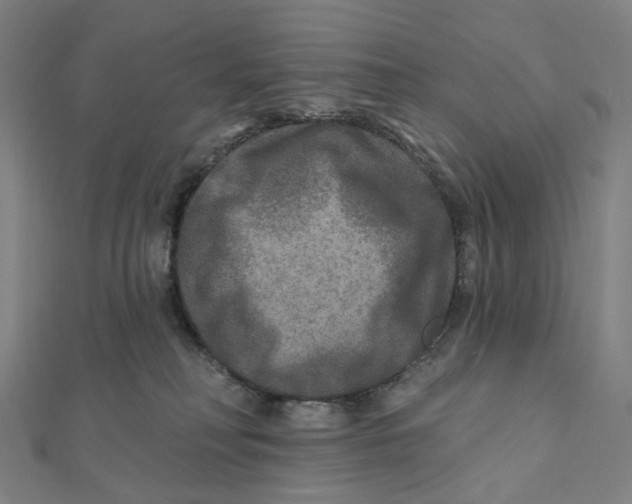 X0000111790230200908201138