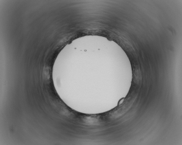 X0000111790232200908201138