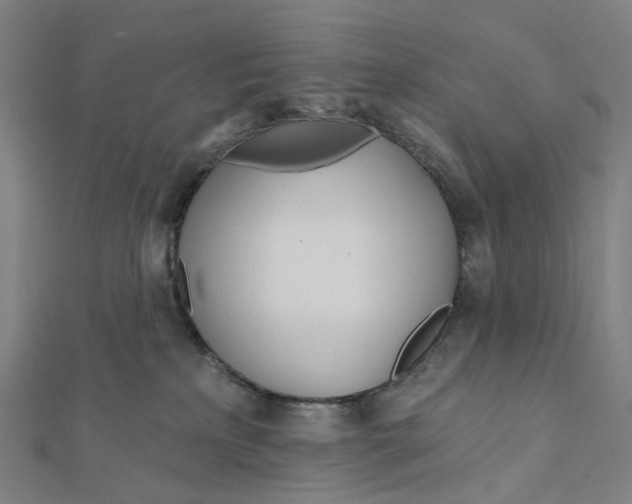 X0000111790233200908201138