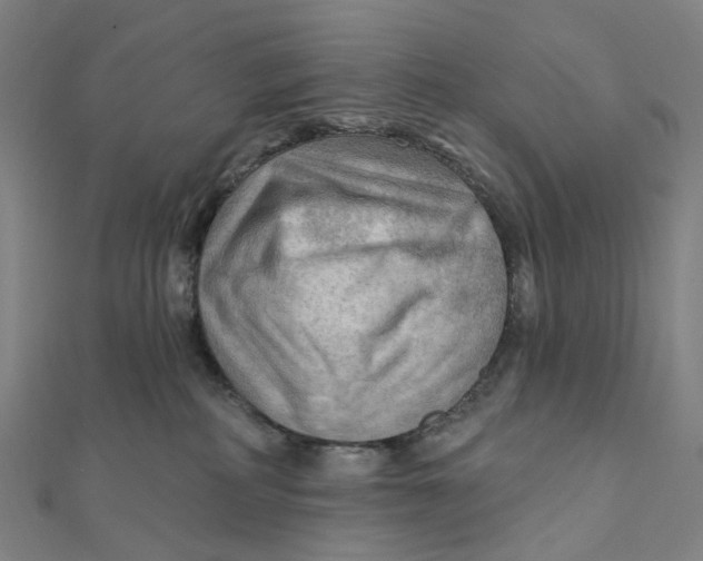 X0000111790234200908201138