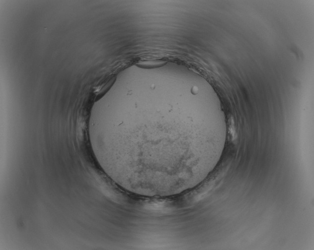 X0000111790235200908201138