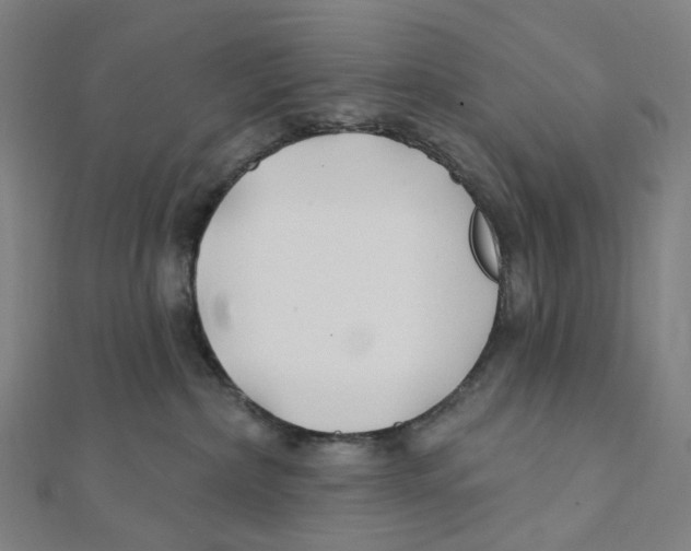 X0000111790236200908201138