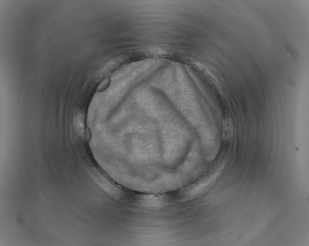 X0000111790238200908201138