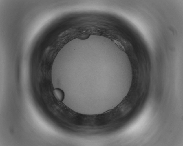 X0000111790239200908201138