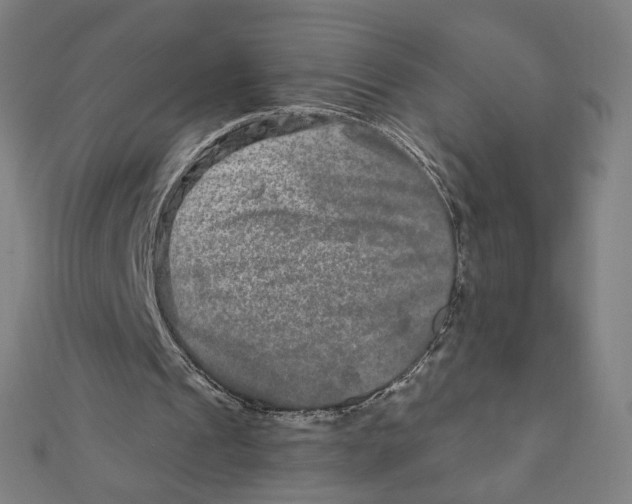 X0000111790241200908201138