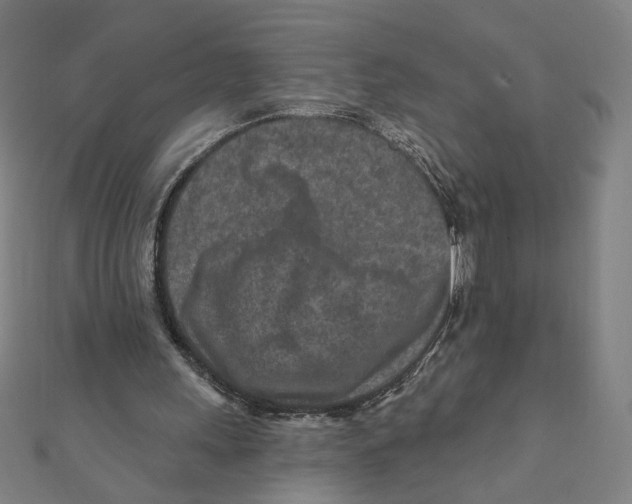 X0000111790243200908201138