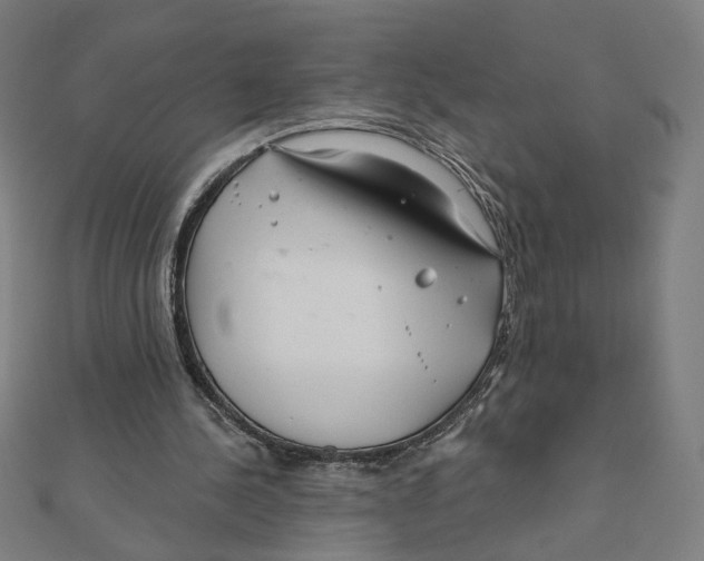 X0000111790244200908201138