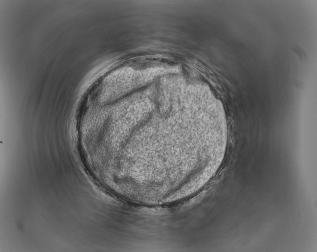 X0000111790245200908201138