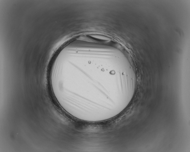 X0000111790248200908201138