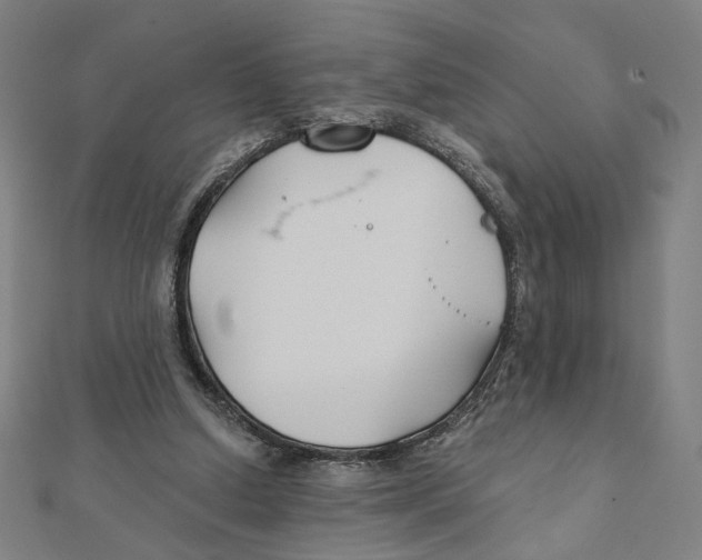 X0000111790250200908201138