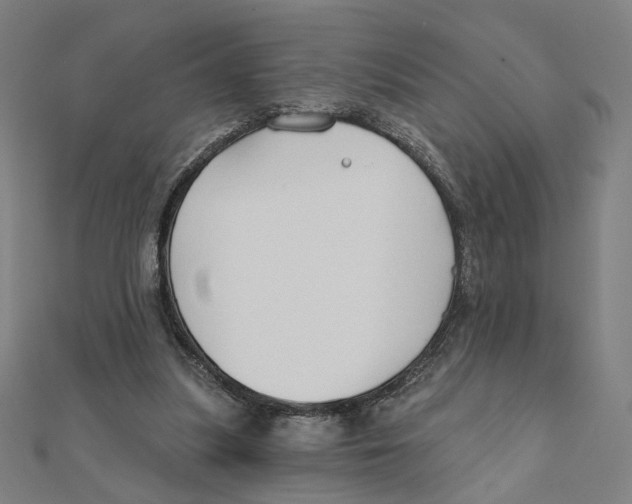 X0000111790251200908201138