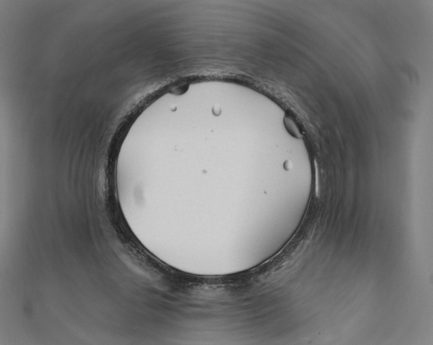 X0000111790252200908201138