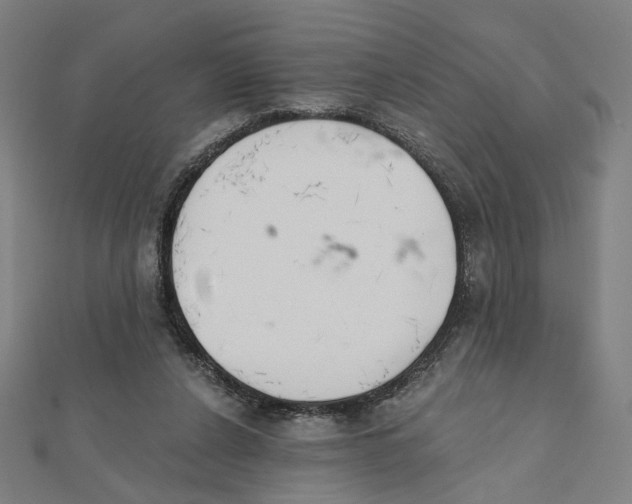 X0000111790256200908201138