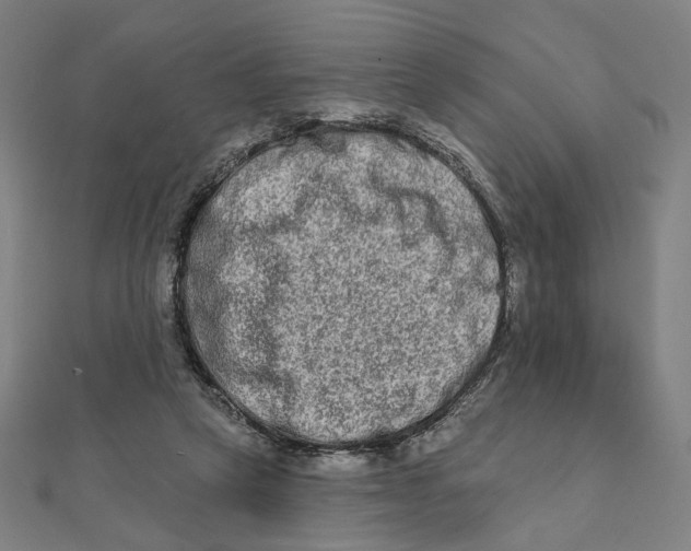 X0000111790257200908201138