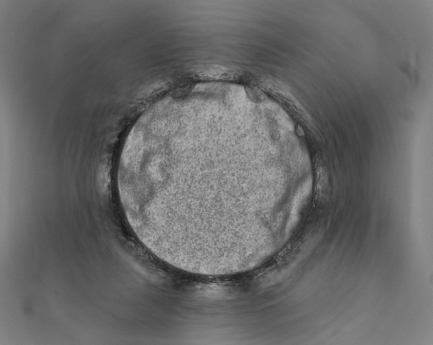 X0000111790259200908201138