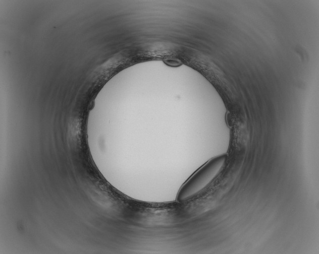 X0000111790260200908201138