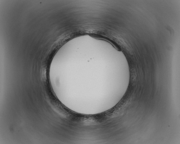 X0000111790262200908201138