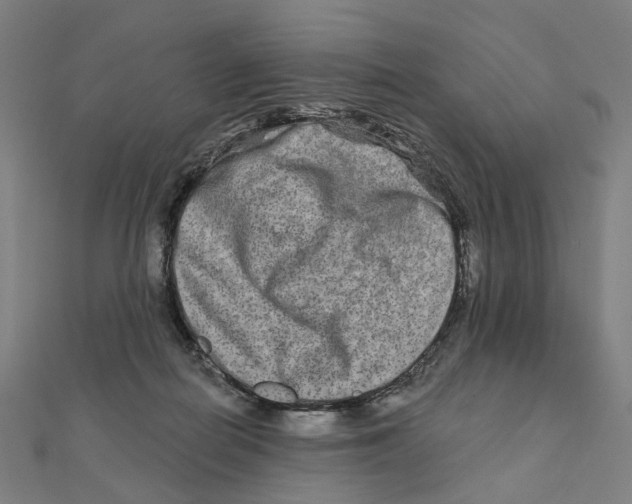 X0000111790266200908201138