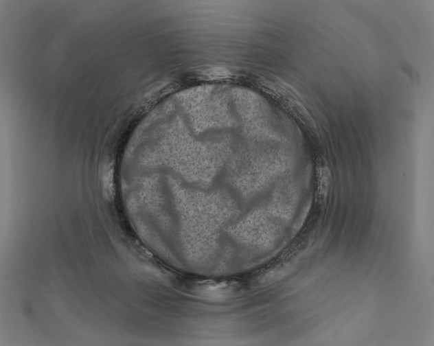 X0000111790267200908201138