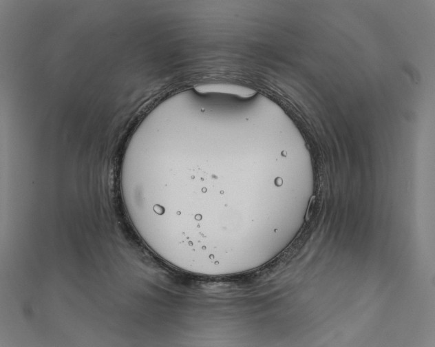 X0000111790268200908201138