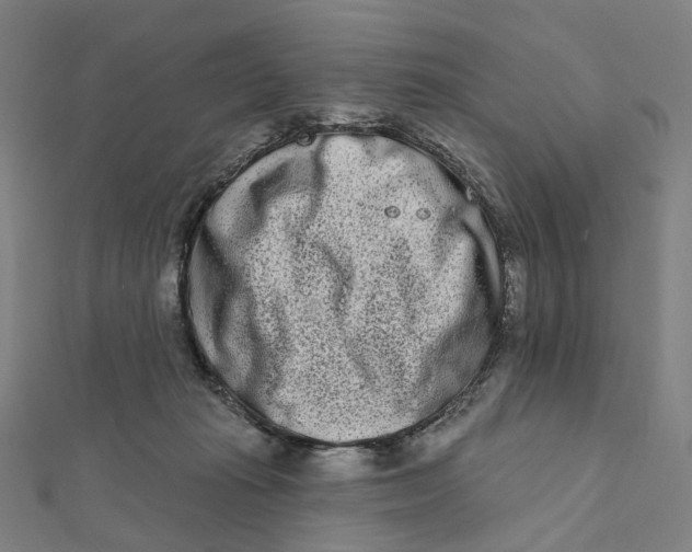 X0000111790269200908201138