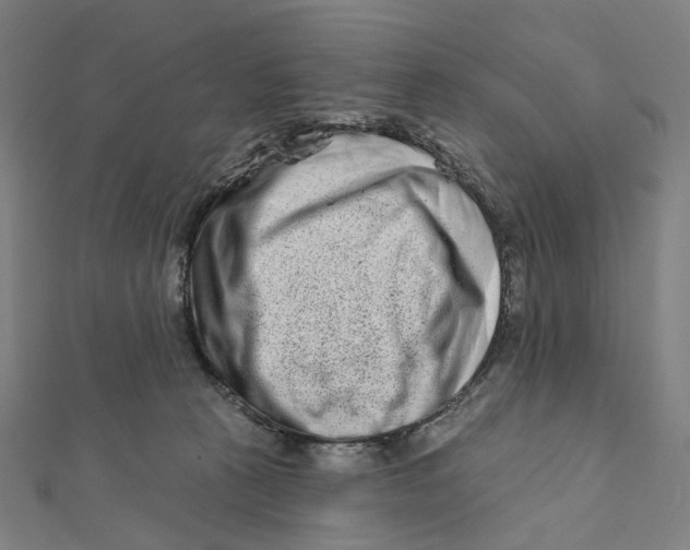 X0000111790273200908201138